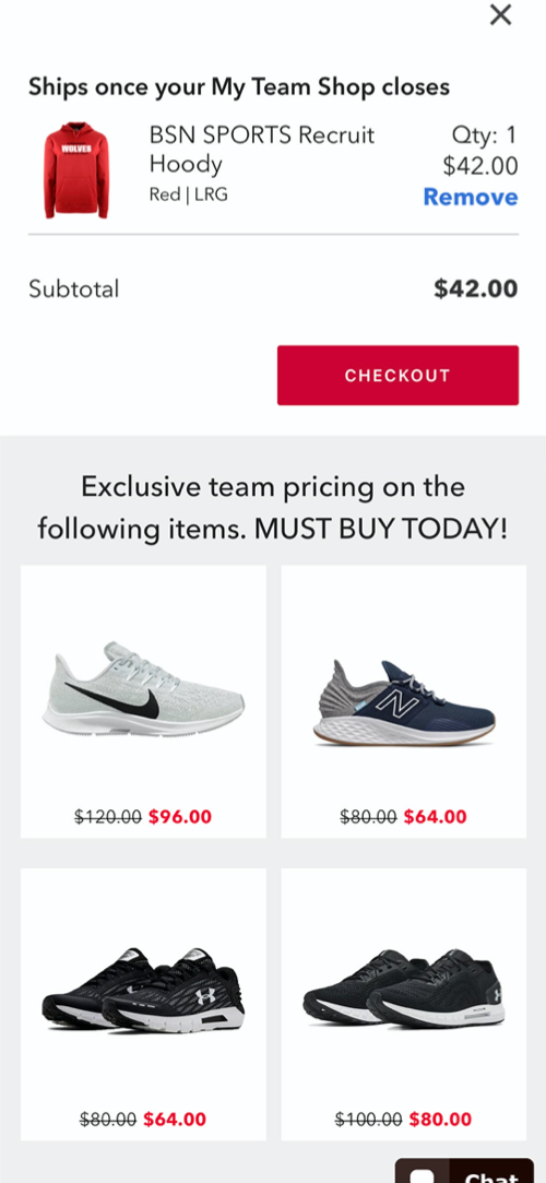 BSN Custom Software Case Study Dayspring Partners