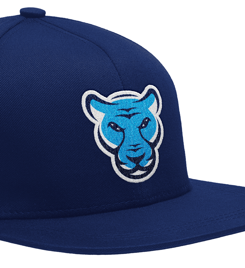 Rise Prep's brand mark with panther mascot on a sports cap