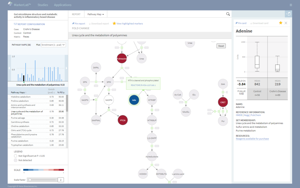 Web app view of pathway map